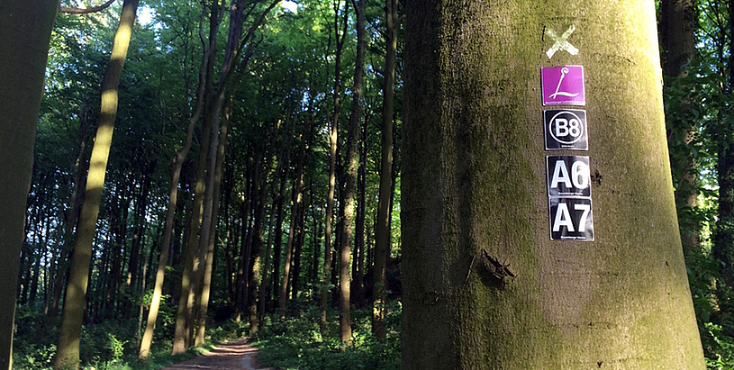 Wandern und Pilgern auf dem Baumberger Ludgerusweg Wandern und Pilgern auf dem Baumberger Ludgerusweg